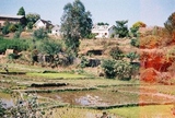 fl000016
