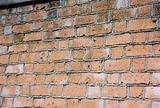fl000019