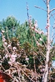 fl000023