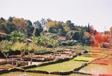 fl000010