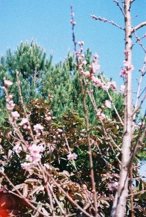 fl000023