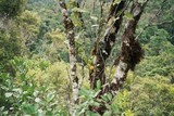fl000009