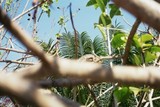 fl000023