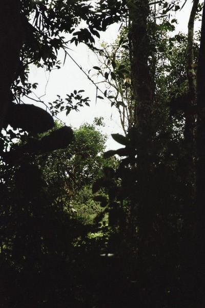 fl000007