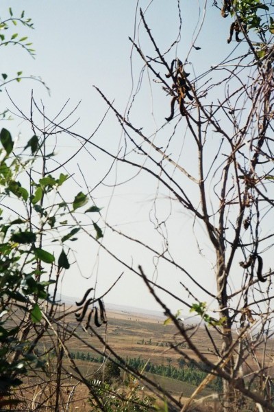 fl000009