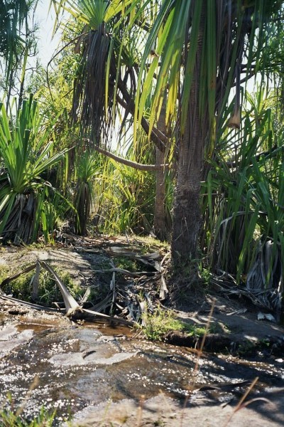 fl000020