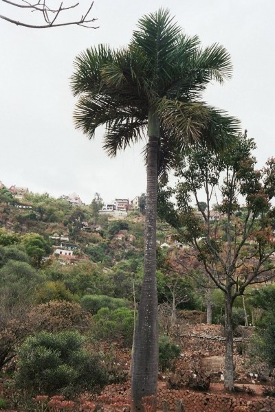 fl000022