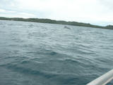 dscn0310