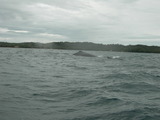 dscn0315