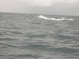 dscn0326