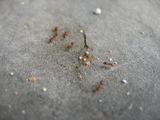 dscn0354