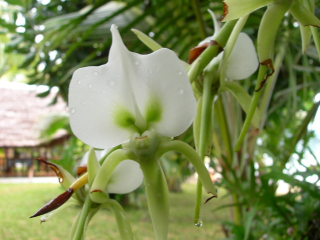 dscn0269