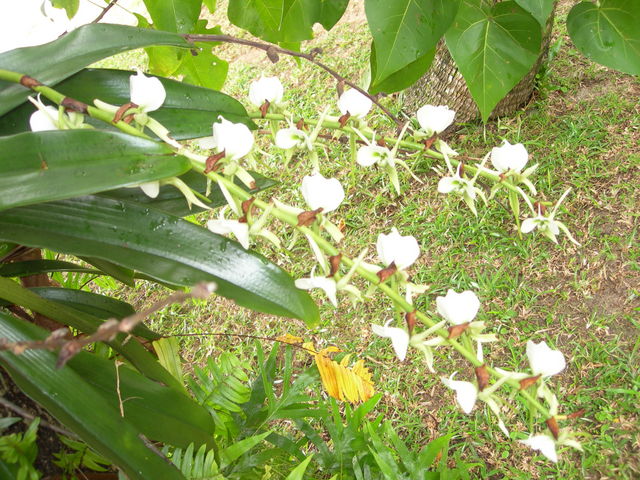 dscn0270
