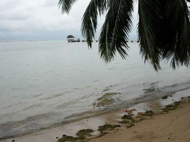 dscn0271