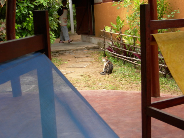 dscn0275