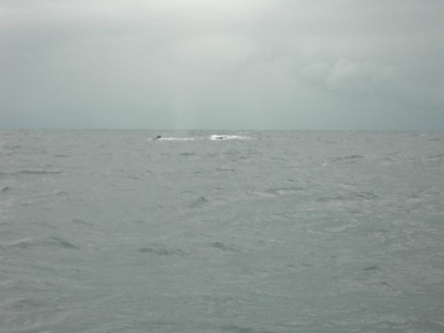 dscn0292