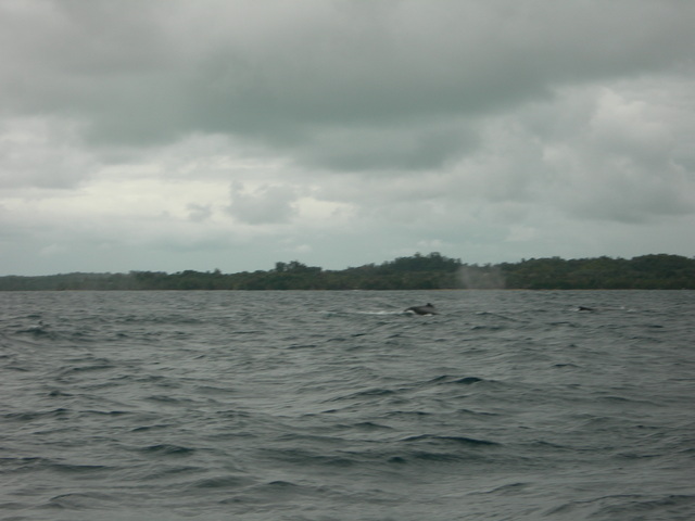 dscn0296