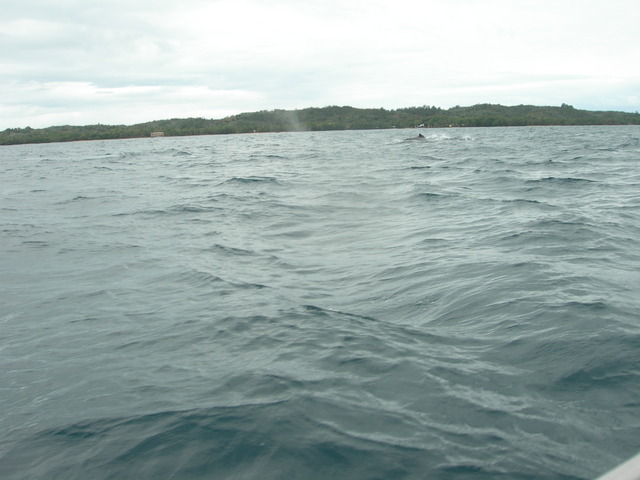 dscn0307