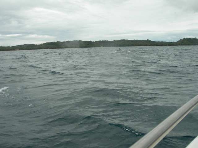 dscn0309