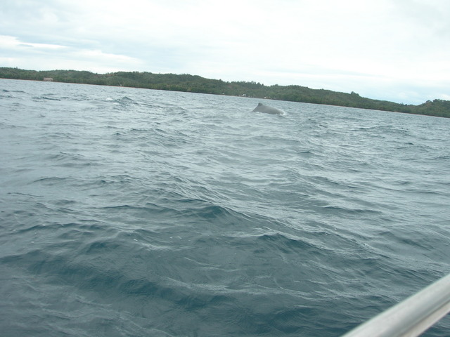 dscn0310
