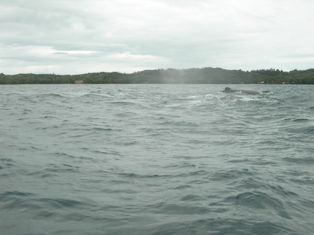dscn0312