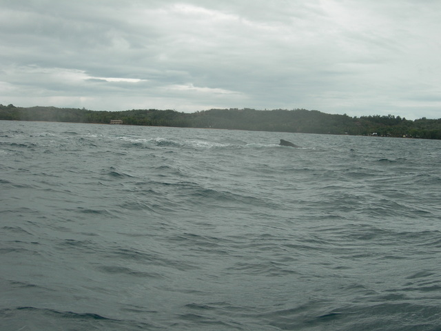 dscn0314