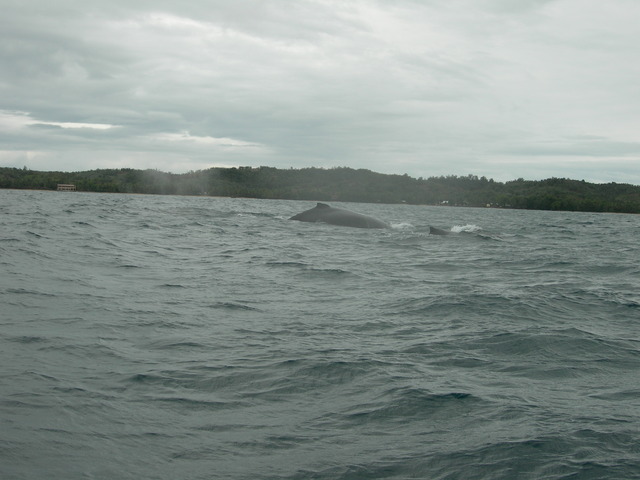 dscn0315