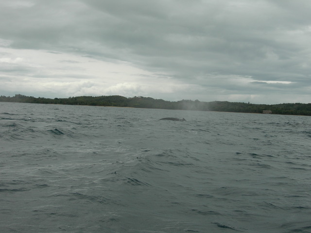 dscn0317
