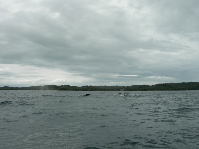 dscn0319