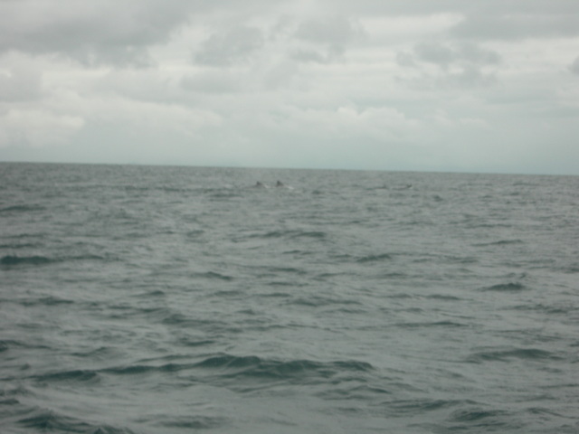 dscn0322