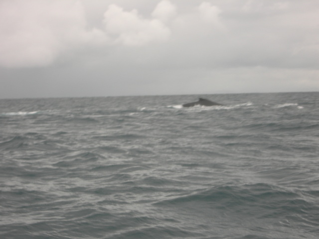 dscn0325