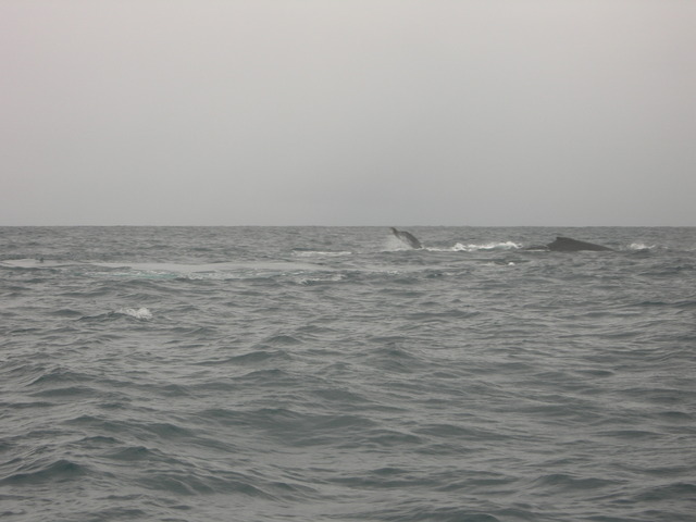 dscn0328