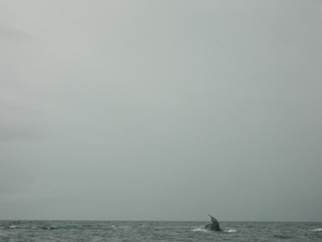 dscn0329