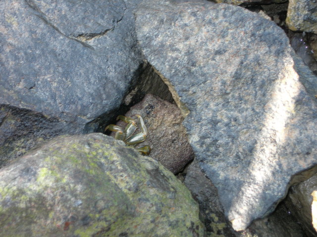dscn0374