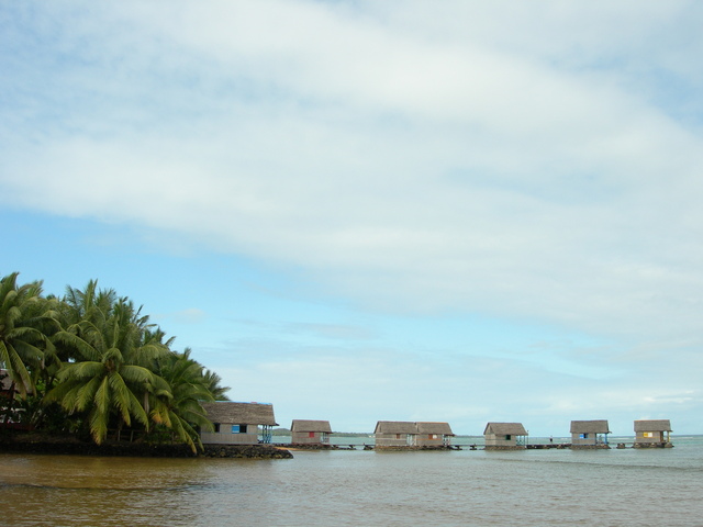dscn0394
