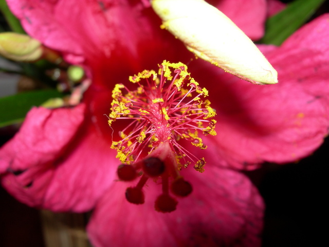 dscn0403