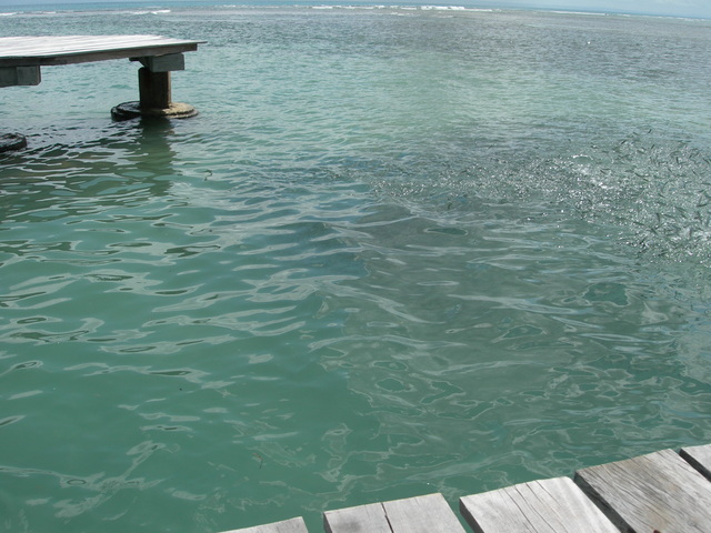 dscn0410