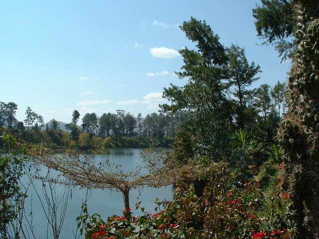 dscf0005