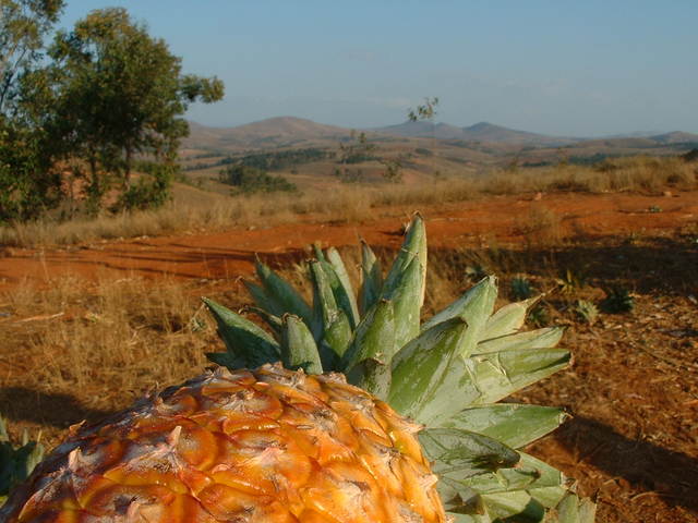 dscf0046