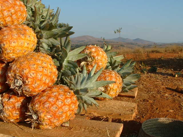 dscf0047