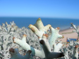 dscn0606