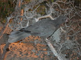 dscn0614