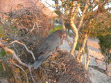 dscn0617