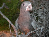 dscn0624