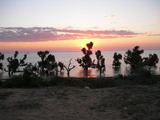 dscn0645