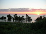 dscn0646