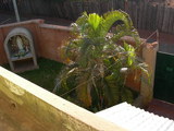 dscn0413