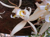 dscn0417