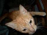 dscn0593