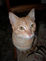 dscn0594